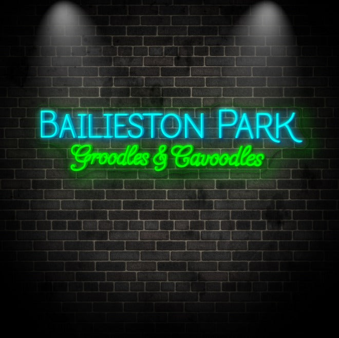 Custom Neon 'Bailieston Park' [+ 2 FREE Bonus Items] ~$150 OFF