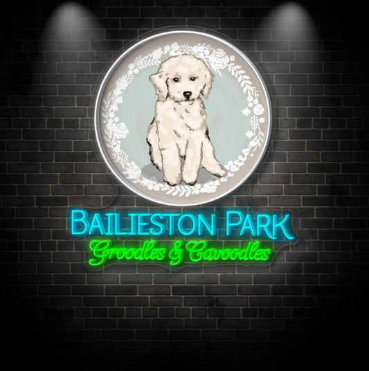 Custom Neon 'Bailieston Park' [+ 2 FREE Bonus Items] ~$150 OFF
