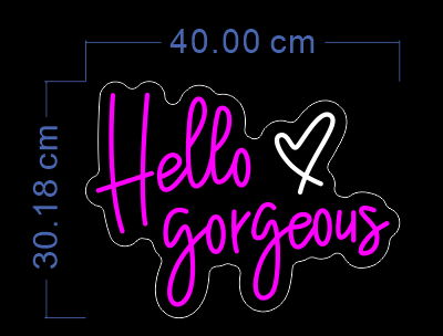 Custom Neon 'Hello Gorgeous ' [+ 2 FREE Bonus Items] ~$50 OFF