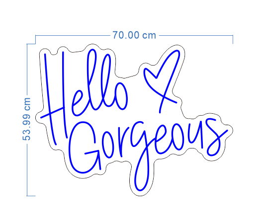 Custom Neon 'Hello Gorgeous' [+ 2 FREE Bonus Items] ~$50 OFF