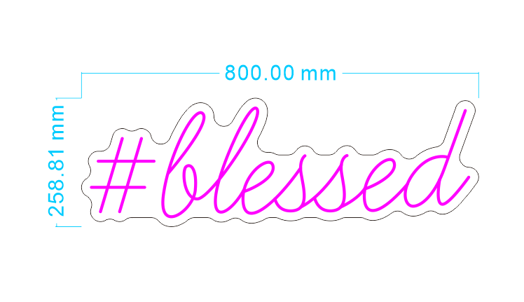 Custom Neon '#blessed’ [+ 2 FREE Bonus Items] ~$50OFF