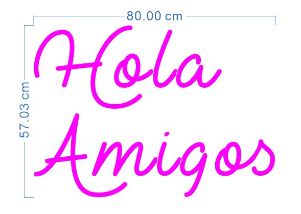 Custom Neon 'Hola Amigos' [+ 2 FREE Bonus Items] ~$50 OFF