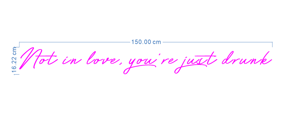 Custom Neon 'Not in love, you're just drunk' [+ 2 FREE Bonus Items] ~$50 OFF