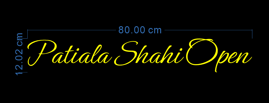 Custom Neon 'Patiala Shahi Open' [+ 2 FREE Bonus Items] ~$50 OFF