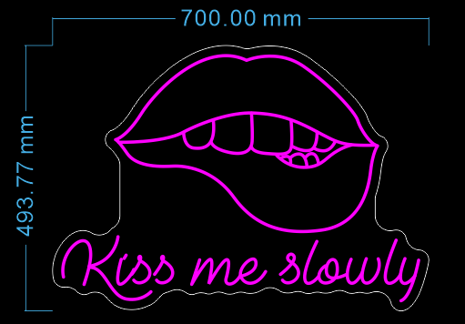 Custom Neon 'Kiss me slowly' [+ 2 FREE Bonus Items] ~$150 OFF