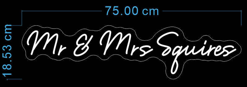 Custom Neon 'Mr & Mrs Squires' [+ 2 FREE Bonus Items] ~$150 OFF