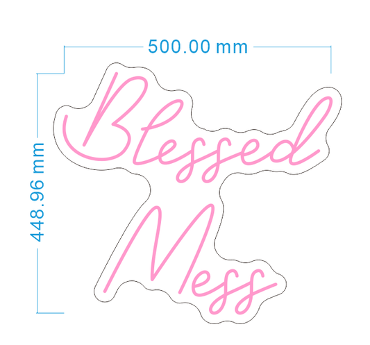 Custom Neon 'Blessed Mess' [+ 2 FREE Bonus Items] ~$150 OFF