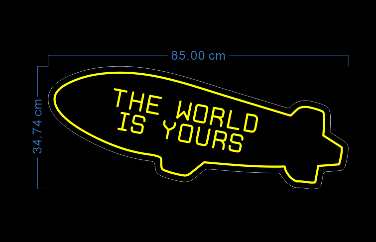 Custom Neon 'The World Is Yours' [+ 2 FREE Bonus Items] ~$50 OFF