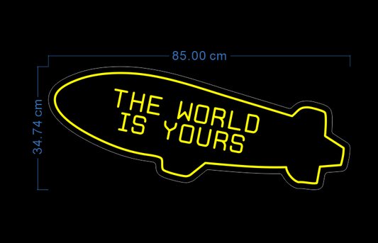 Custom Neon 'The World Is Yours' [+ 2 FREE Bonus Items] ~$50 OFF