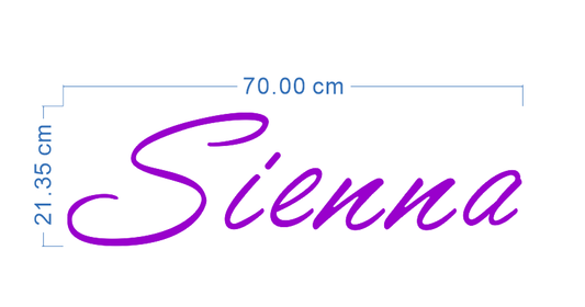 Custom Neon 'Sienna' [+ 2 FREE Bonus Items] ~$50 OFF