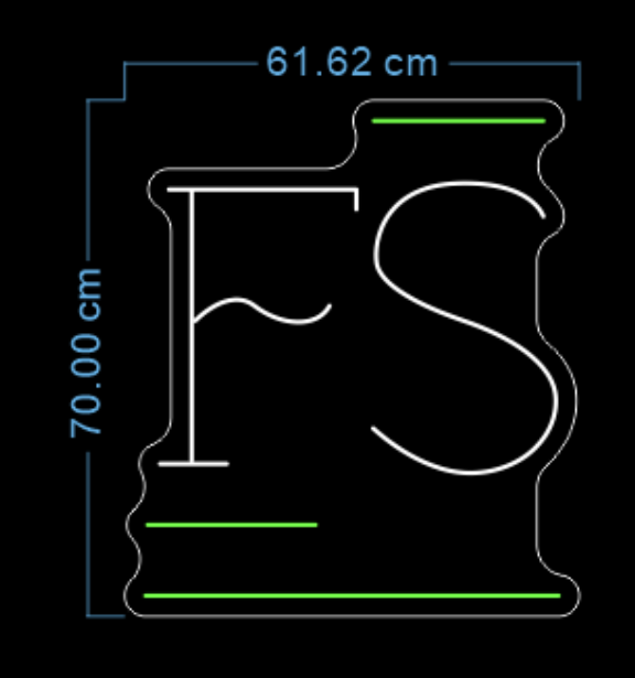 Custom Neon 'FS' [+ 2 FREE Bonus Items] ~$150 OFF