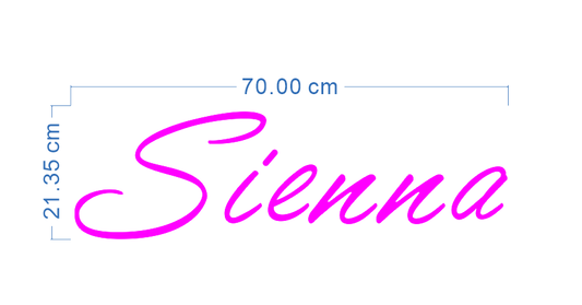 Custom Neon 'Sienna' [+ 2 FREE Bonus Items] ~$50 OFF